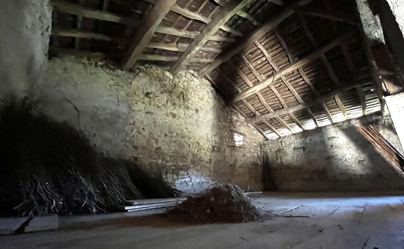 LAINS Ancien corps de ferme en pierre à rénover ? Fort potentiel au coeur du Jura 6