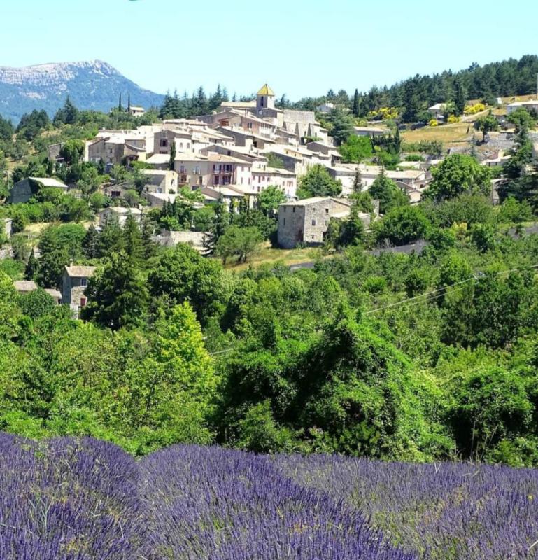 AUREL ENSEMBLE IMMOBILIER DE 338 M²  ANCIEN HÔTEL-RESTAURANT ET MAISON DE CARACTÈRE 285000 14