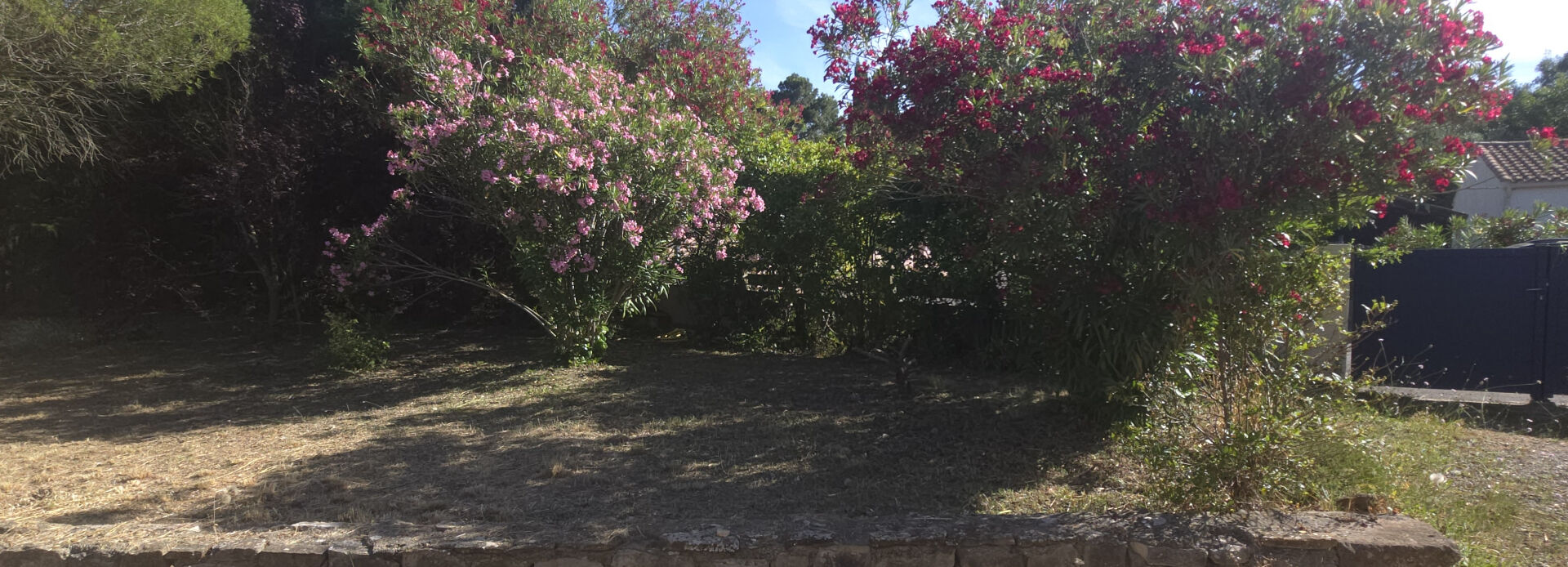 TOUROUZELLE ESPACE ET TRANQUILITE : VILLA 4 FACES DE PLAIN PIED 10