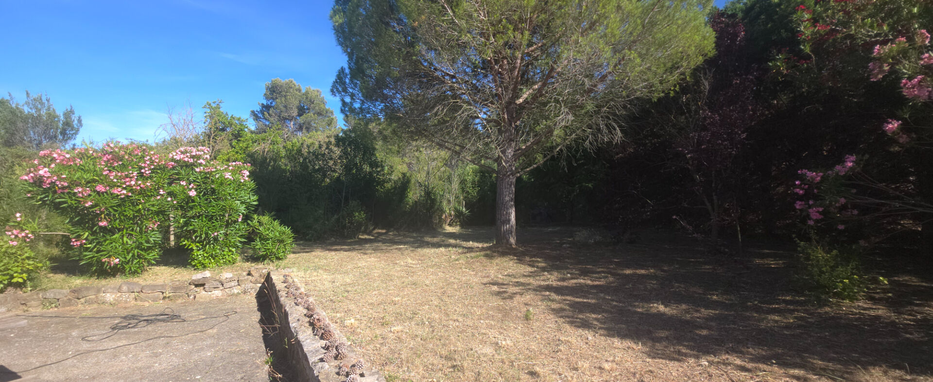 TOUROUZELLE ESPACE ET TRANQUILITE : VILLA 4 FACES DE PLAIN PIED 9