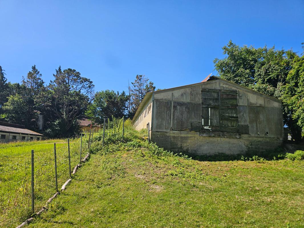 NOGARO Maison de150 m2 avec 17314m2 terrain 6