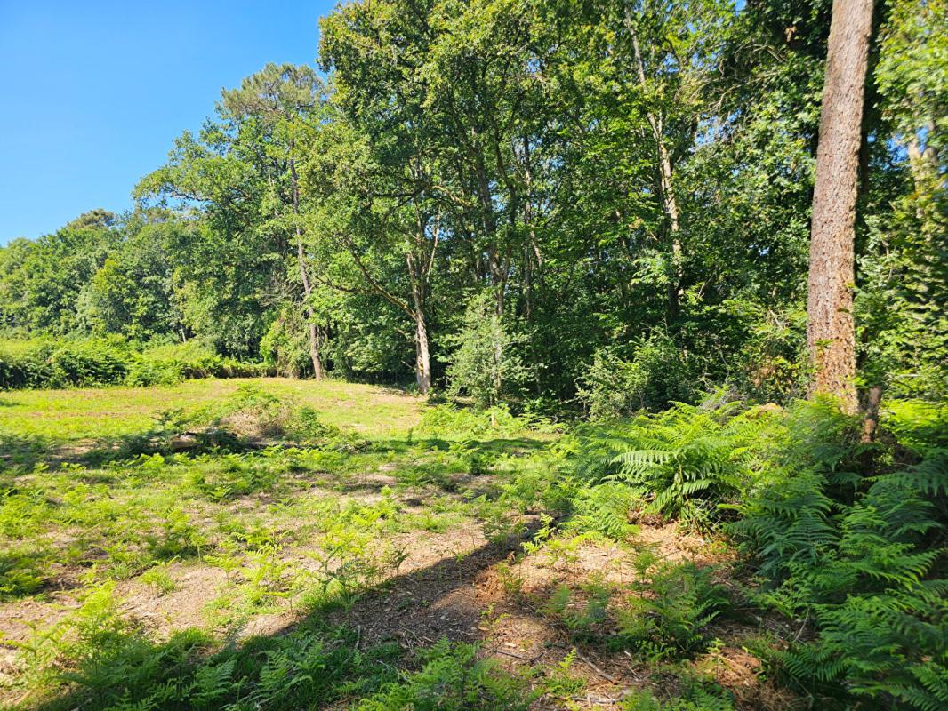 NOGARO Maison de150 m2 avec 17314m2 terrain 7