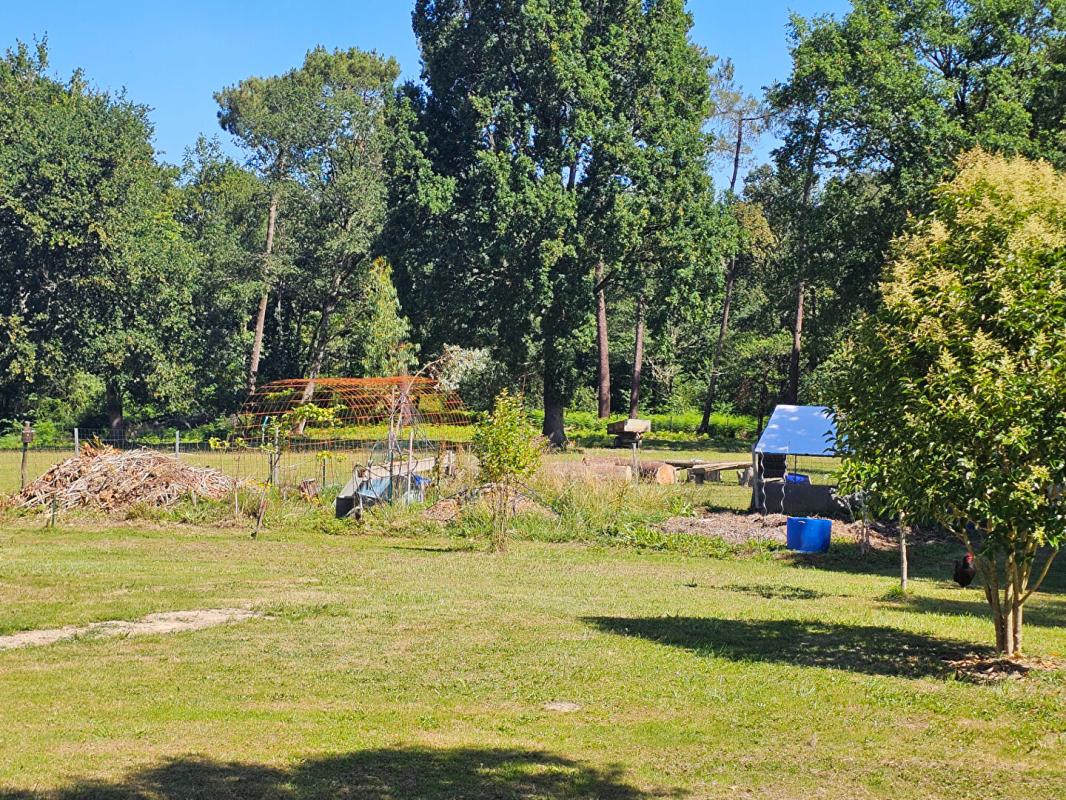 NOGARO Maison de150 m2 avec 17314m2 terrain 8