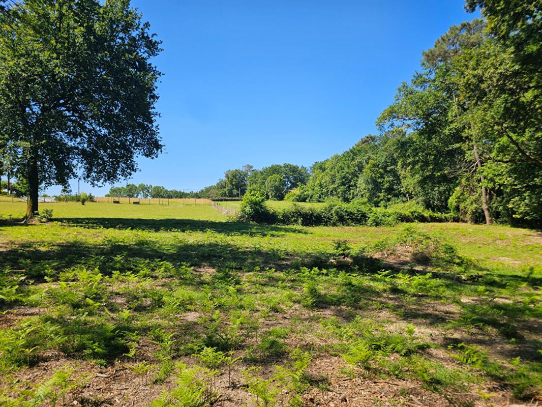 NOGARO Maison de150 m2 avec 17314m2 terrain 9