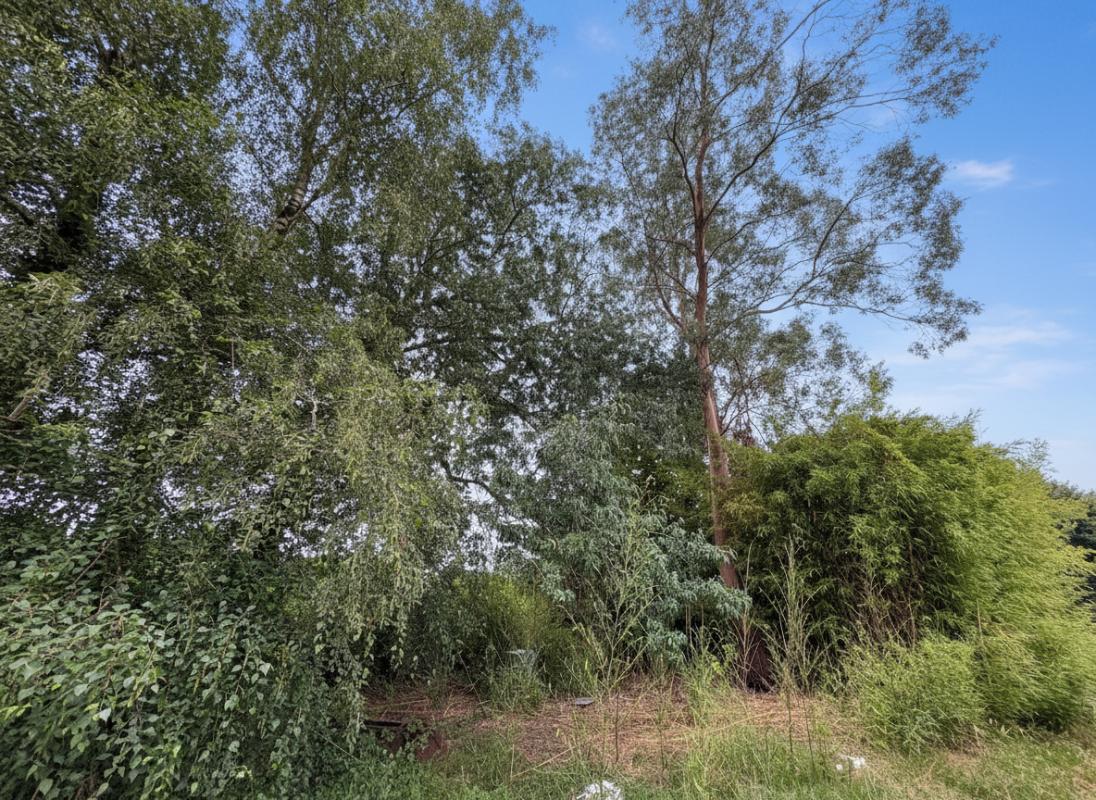 THENAC EXCLUSIVITE Maison à rénover de 271 m2 utile 10