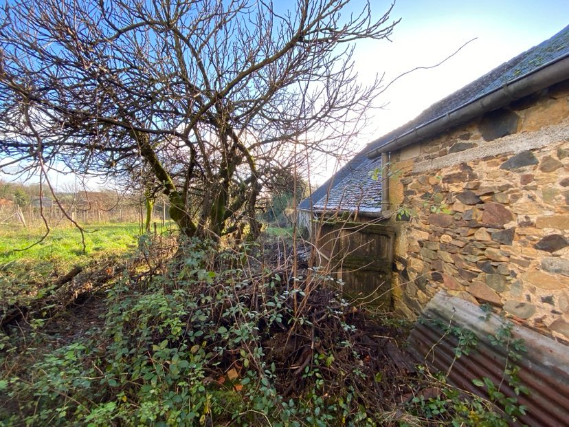 LANOUAILLE Maison Lanouaille 6 pièce(s) 125m2 11