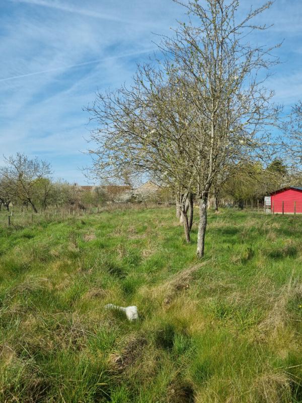 CHAMBON-LA-FORET FERMETTE 70 m² avec une TRES BELLE GRANGE refaite a neuf 10