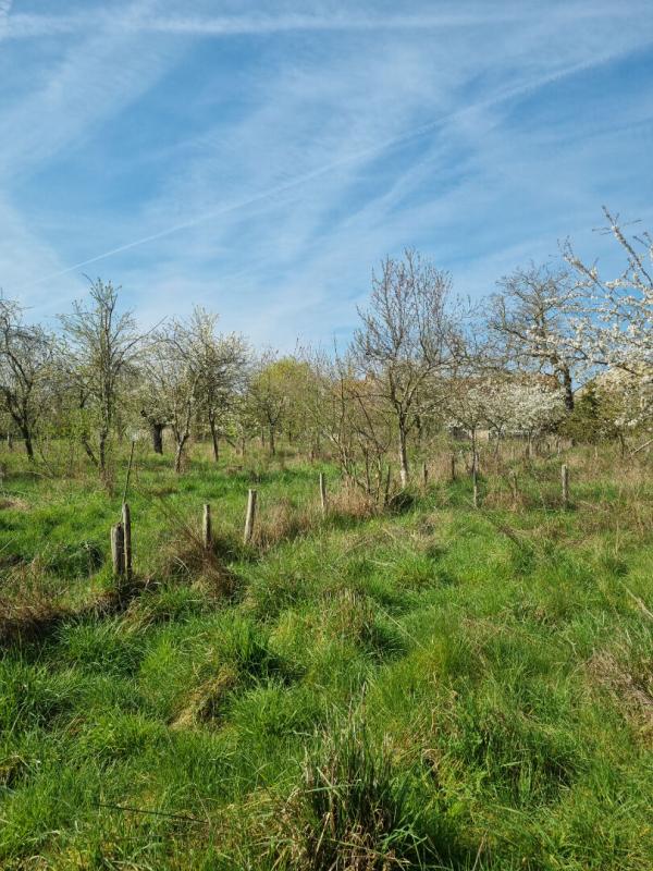 CHAMBON-LA-FORET FERMETTE 70 m² avec une TRES BELLE GRANGE refaite a neuf 11
