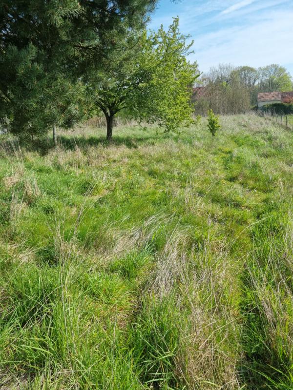 CHAMBON-LA-FORET FERMETTE 70 m² avec une TRES BELLE GRANGE refaite a neuf 9