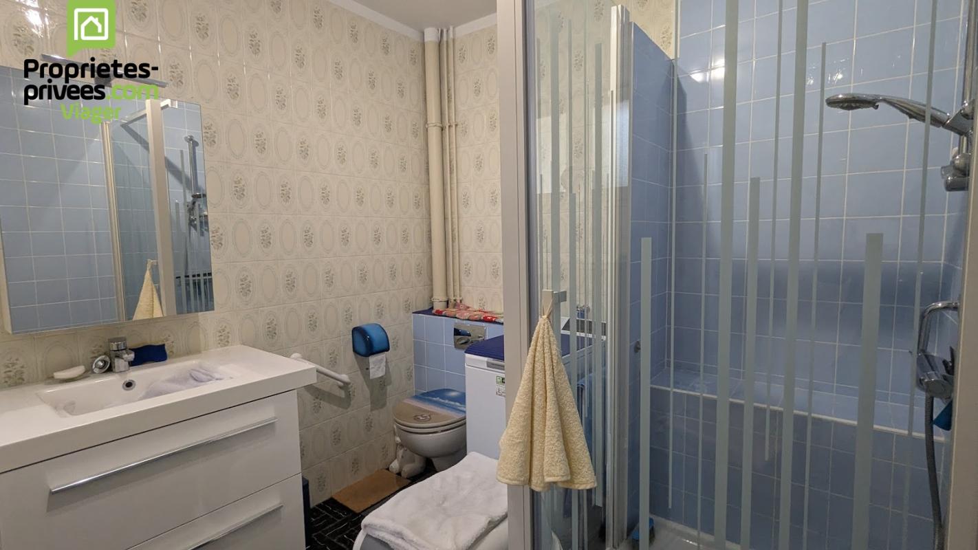 THENEUIL Maison en viager occupé .Theneuil .L'ile Bouchard. F 84 ans 14