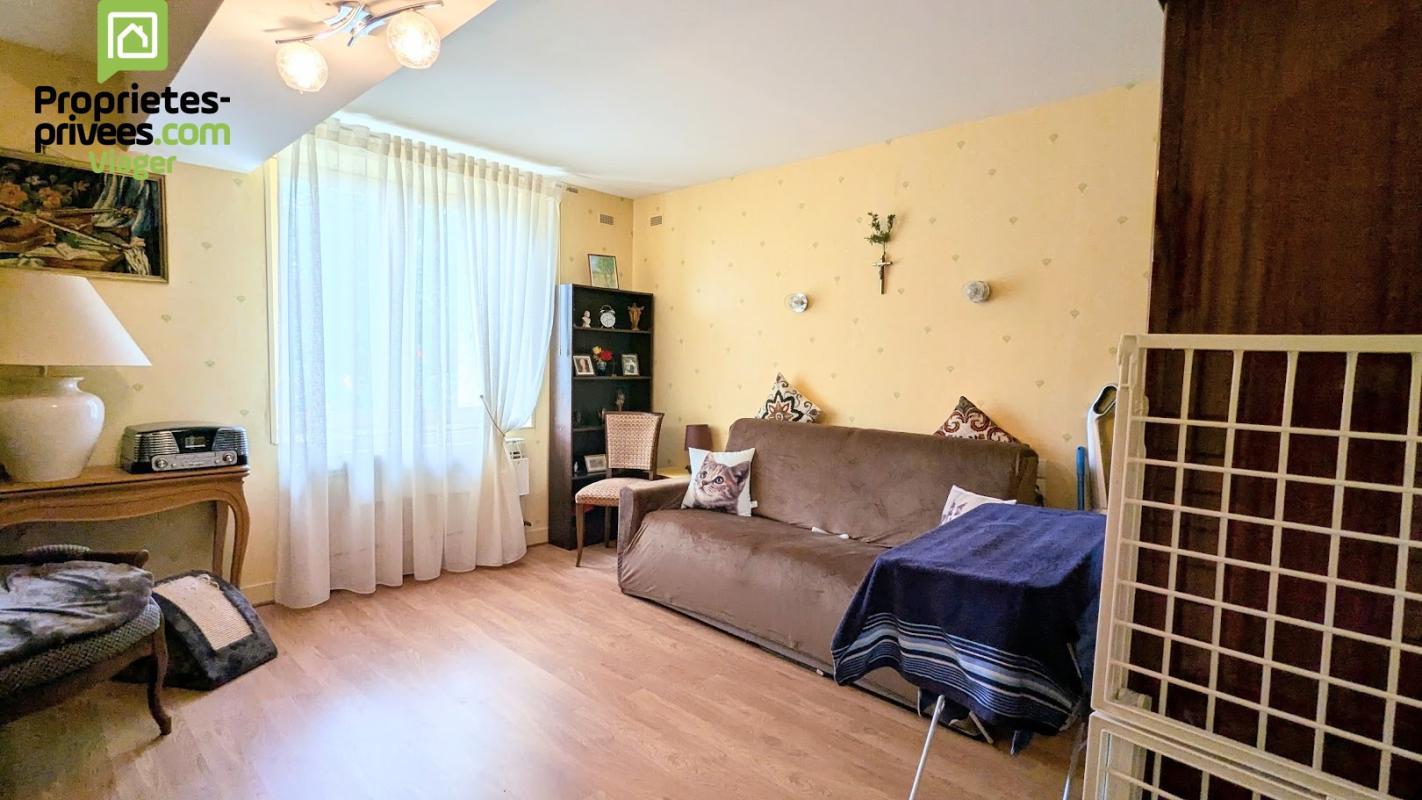 THENEUIL Maison en viager occupé .Theneuil .L'ile Bouchard. F 84 ans 16