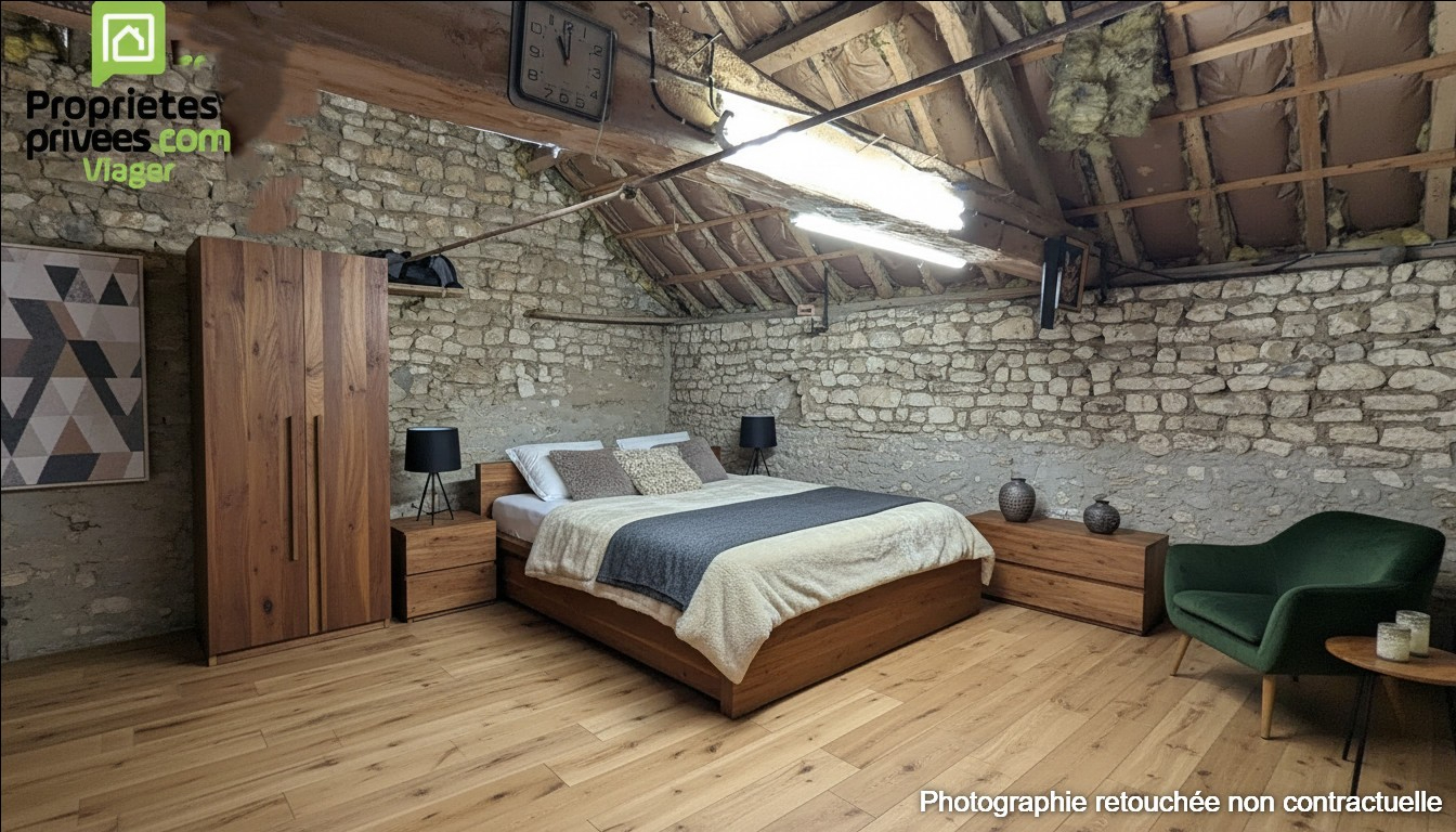 THENEUIL Maison en viager occupé .Theneuil .L'ile Bouchard. F 84 ans 3