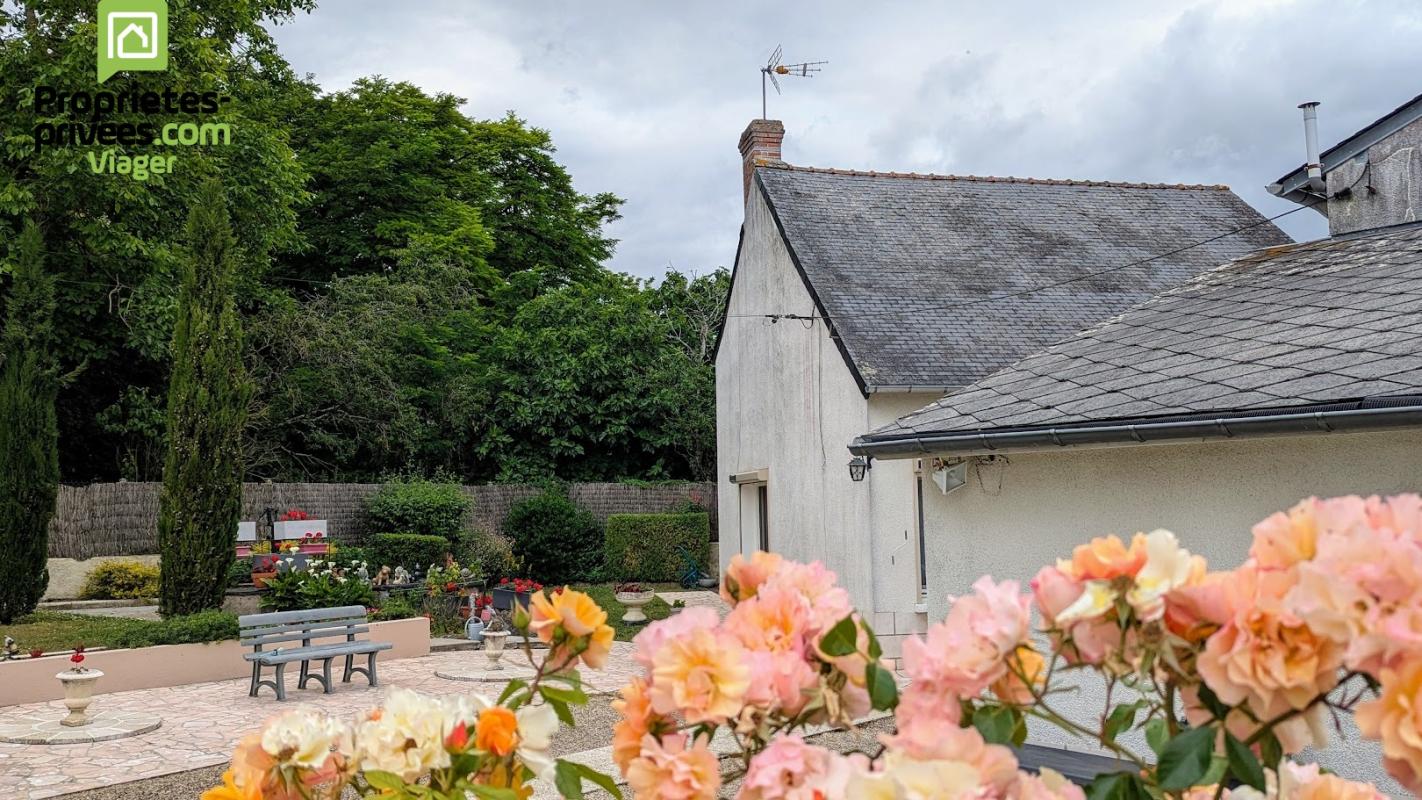 THENEUIL Maison en viager occupé .Theneuil .L'ile Bouchard. F 84 ans 5
