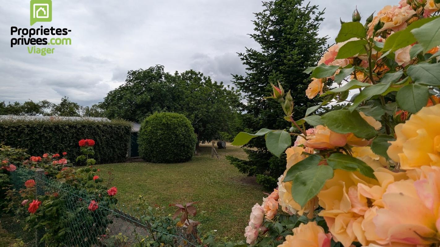 THENEUIL Maison en viager occupé .Theneuil .L'ile Bouchard. F 84 ans 8