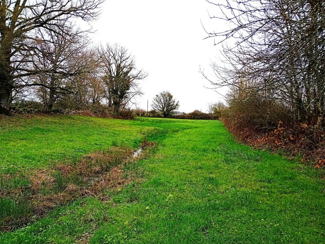 BEAUREGARD Corps de ferme 280 m2 maison et granges 14