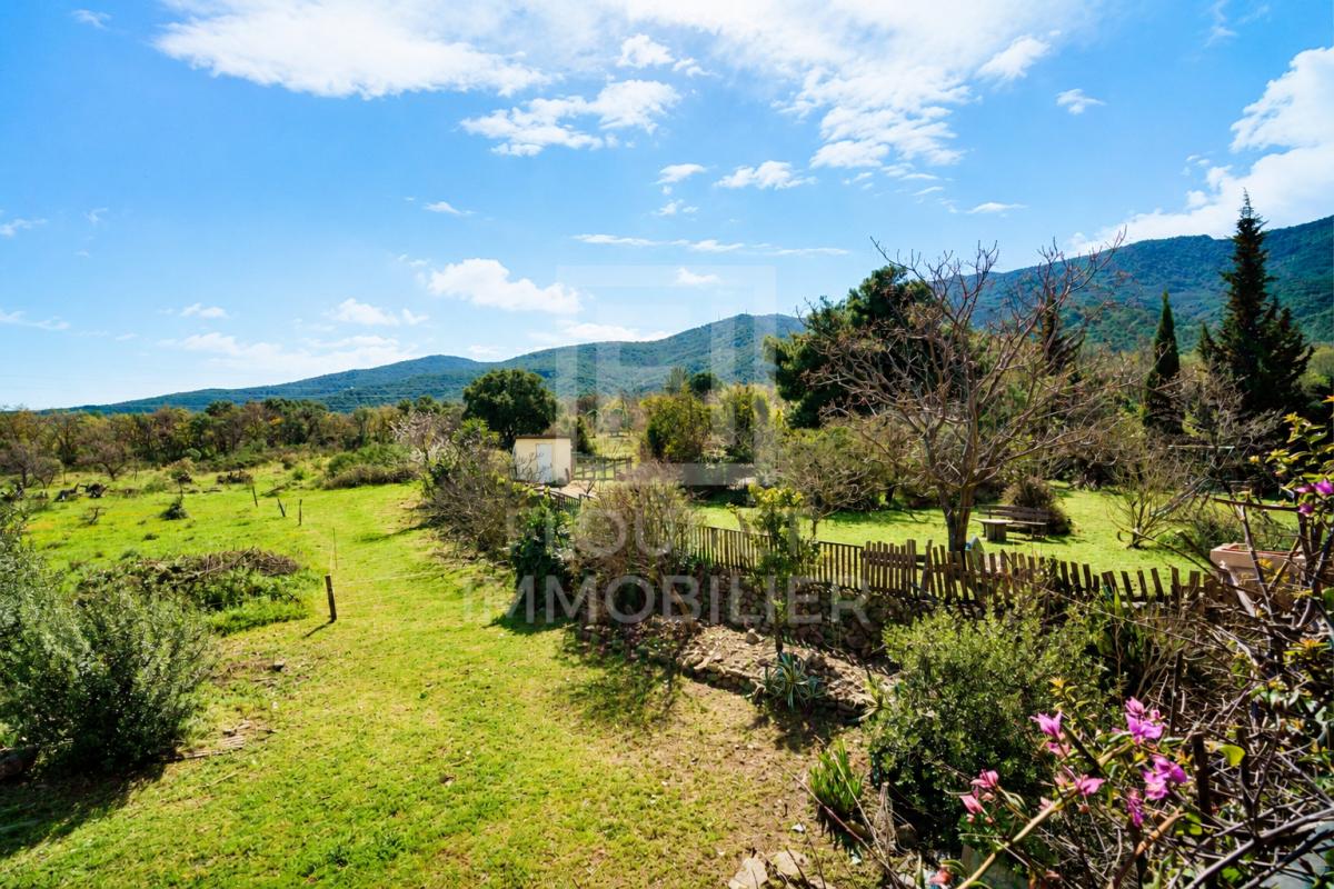 ARGELES-SUR-MER Mas catalan sur 3 hectares - Projet de vie, nature, vue mer & Albères 3