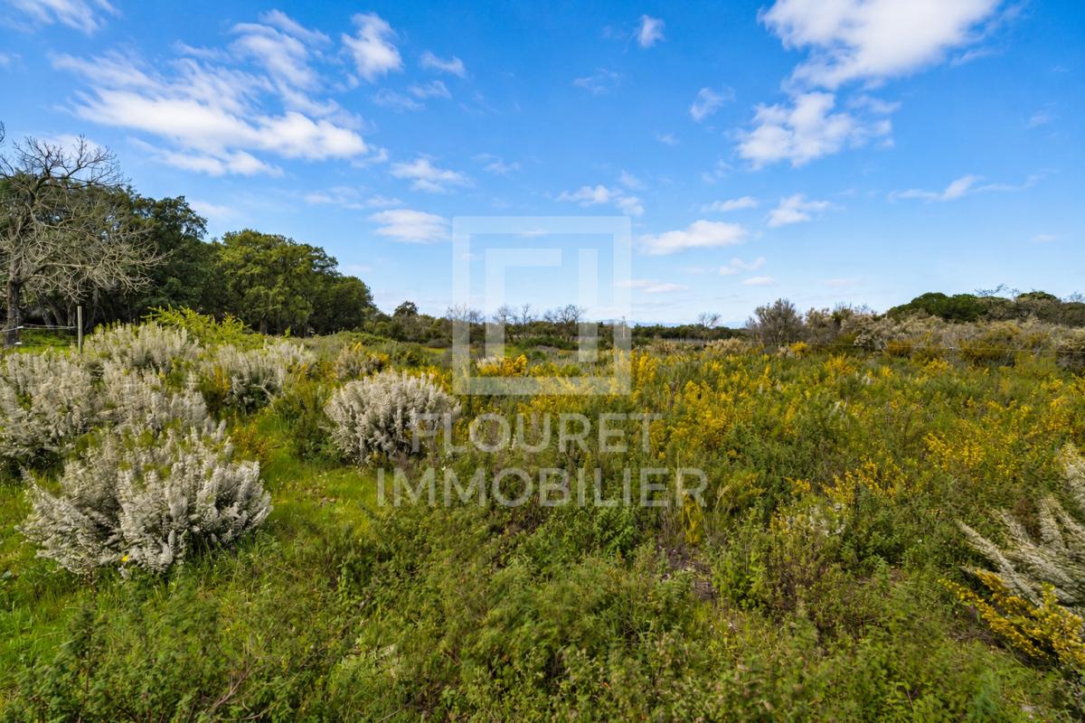 ARGELES-SUR-MER Mas catalan sur 3 hectares - Projet de vie, nature, vue mer & Albères 7