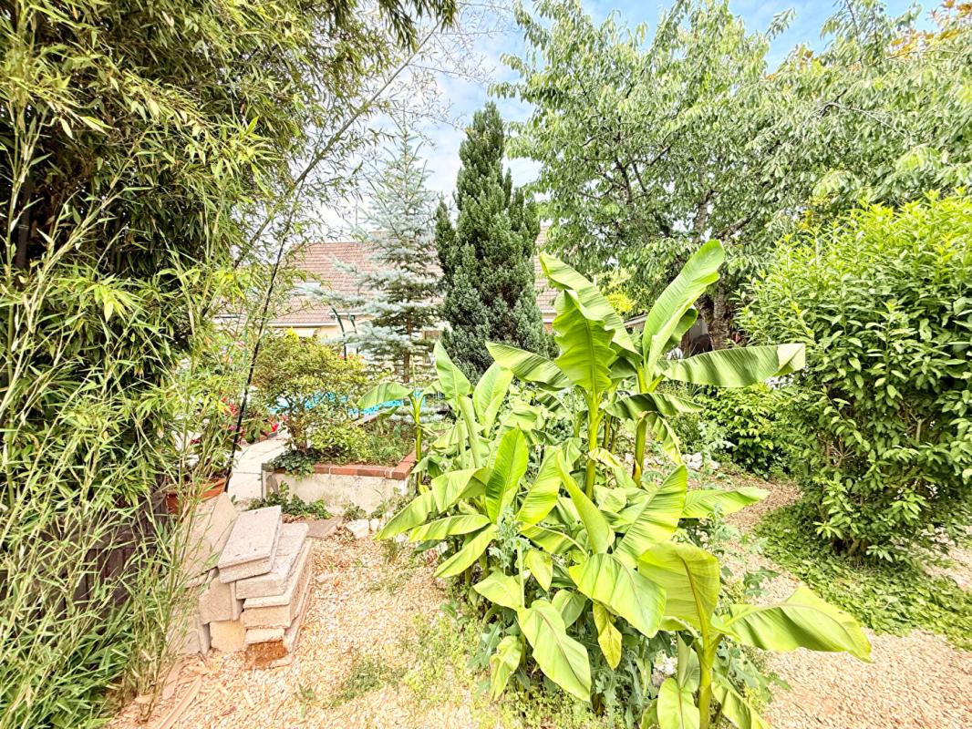 JOIGNY Maison de caractère 250 m² , 10 pièces sur Terrain 1000 m² à Joigny 18