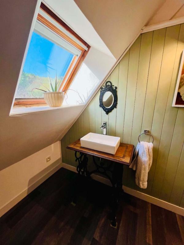 BASSILLAC Maison et gîte indépendant 253 m2 13