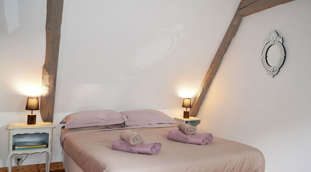 BASSILLAC Maison et gîte indépendant 253 m2 17