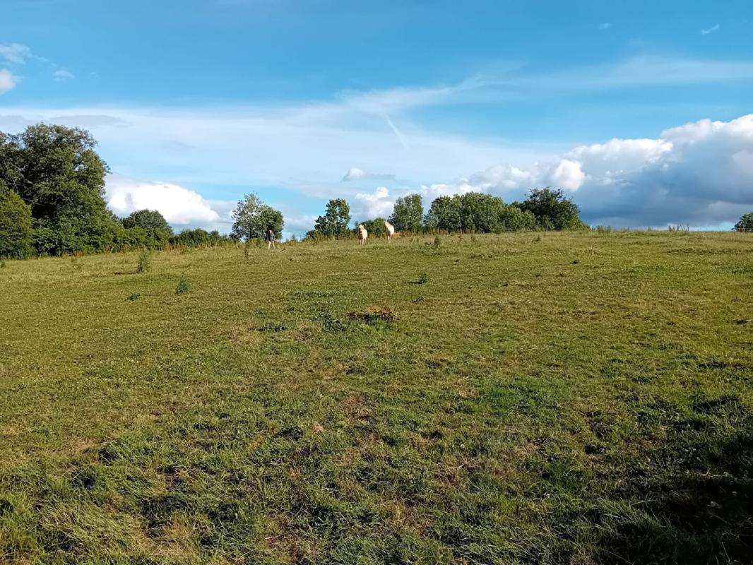 BEAUREGARD Maison terrain 3Ha permis de construire 6