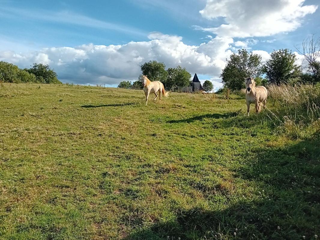 BEAUREGARD Maison terrain 3Ha permis de construire 8