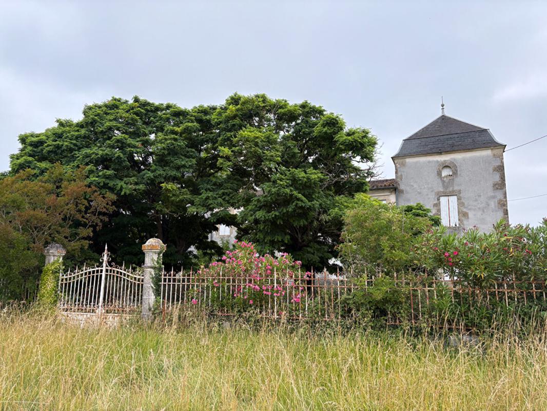 CASTILLON-LA-BATAILLE Château dominant les côteaux DE L'ENTRE DEUX MERS 2