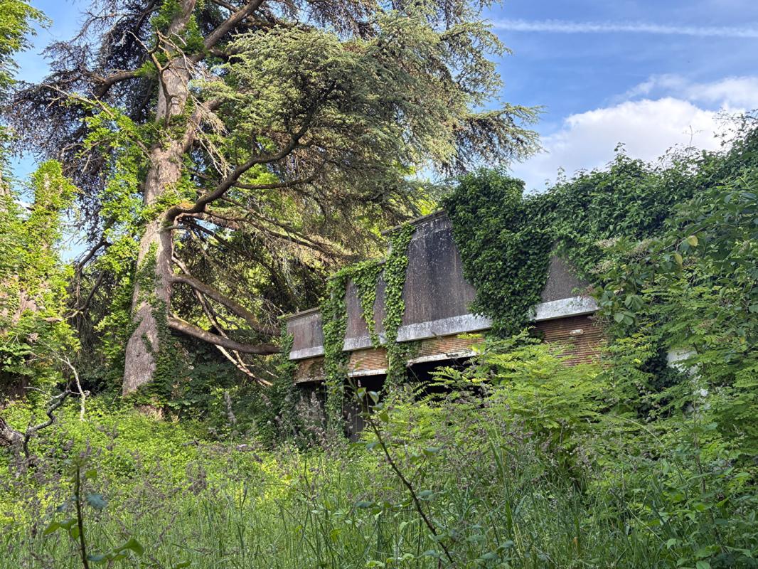 SAUVETERRE-DE-GUYENNE Château fin XIXe au coeur du vignoble girondin 10