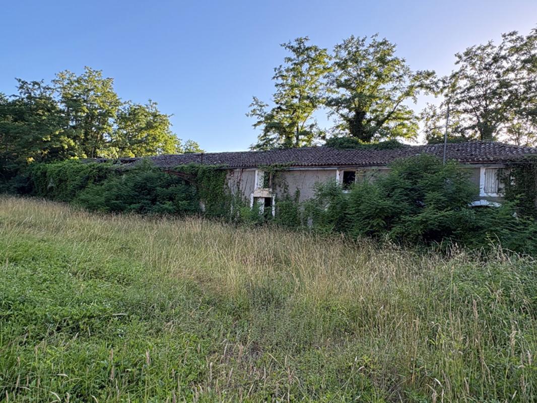 SAUVETERRE-DE-GUYENNE Château fin XIXe au coeur du vignoble girondin 6
