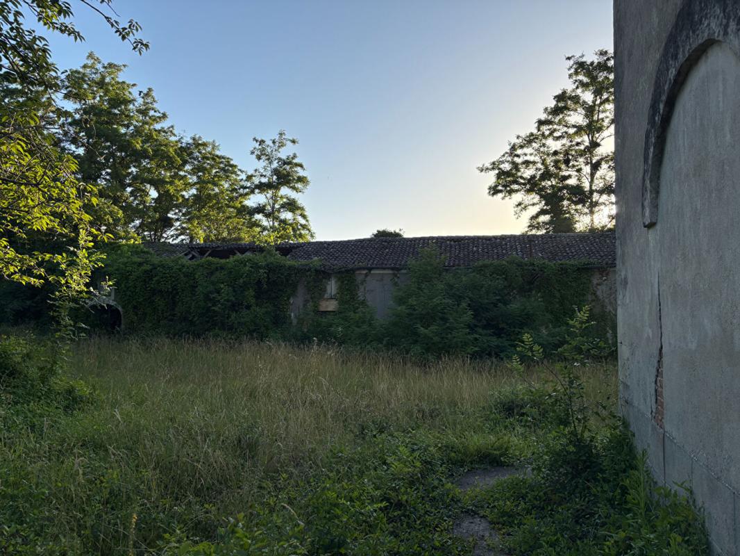 SAUVETERRE-DE-GUYENNE Château fin XIXe au coeur du vignoble girondin 8