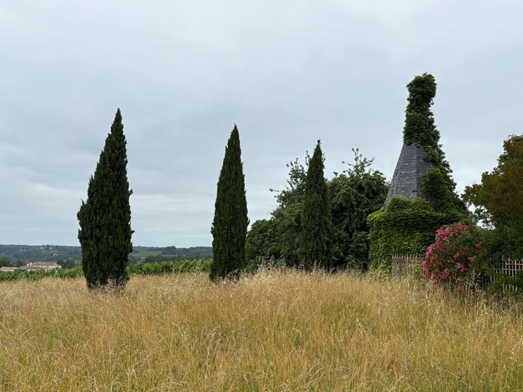 MASSUGAS Château confidentiel à Massugas, dominant les côteaux, entre Pellegrue et Sauveterre de Guyenne 8