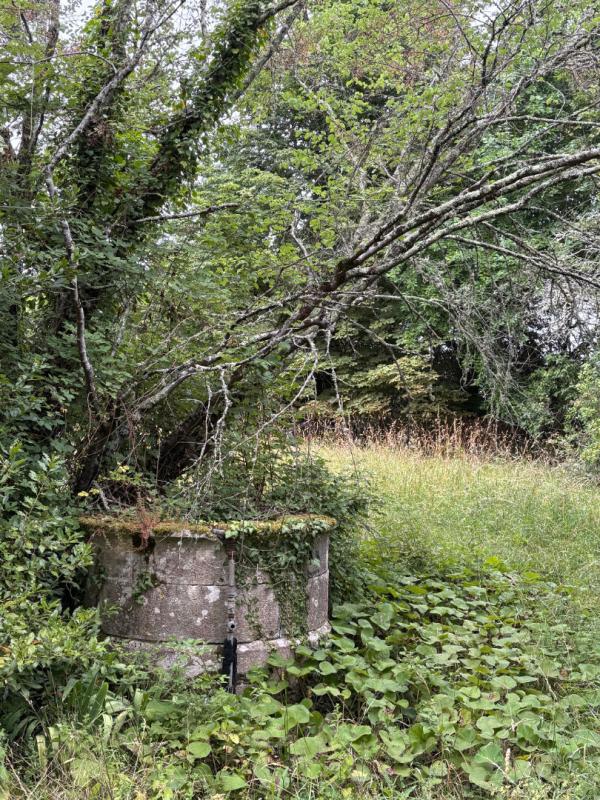 SOUSSAC Propriété d'Exception : Le charme néo-classique proche de Sauveterre de Guyenne 4
