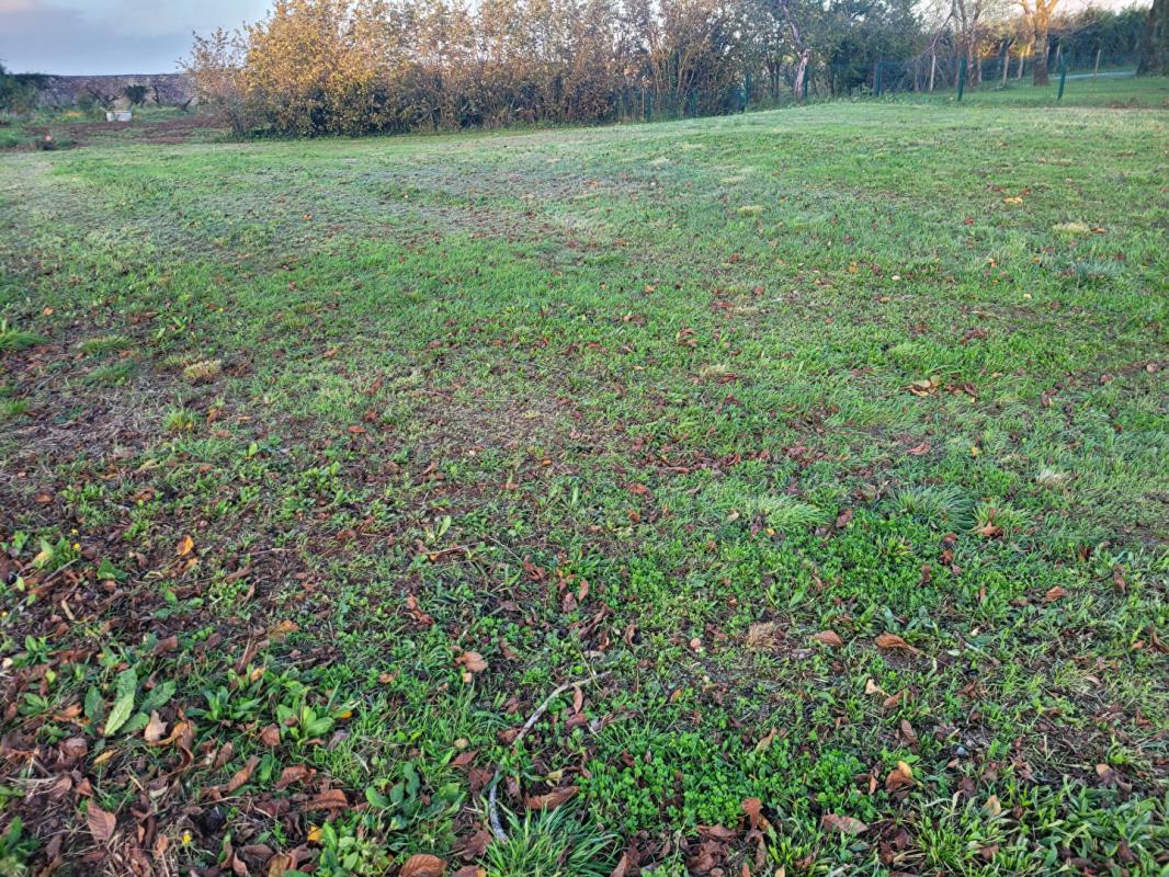 FONTENAY-LE-COMTE Terrain Fontenay Le Comte 738 m2 1