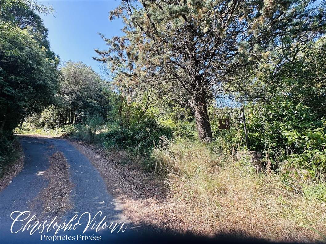 PALAJA Terrain viabilisé - 2500m2 - 11570 PALAJA 1