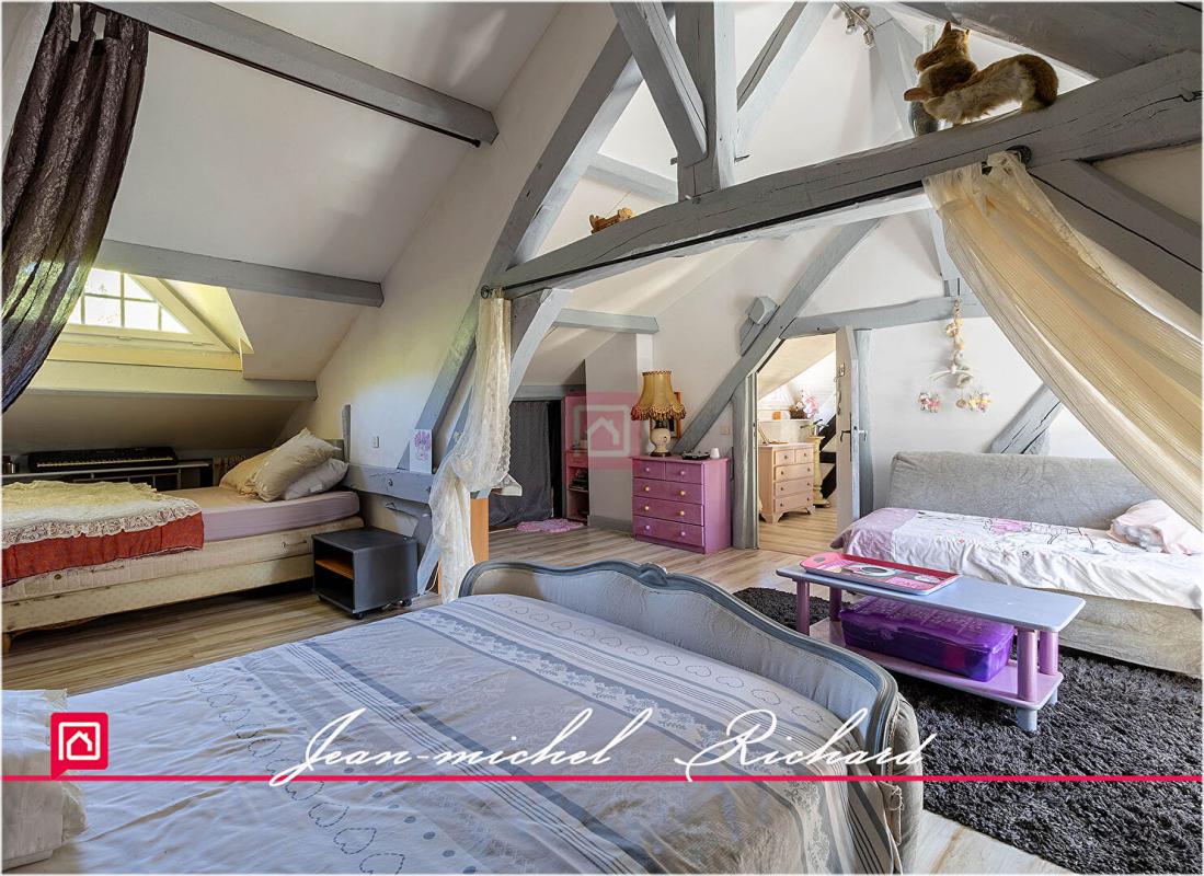 LASSAY-SUR-CROISNE Maison Lassay Sur Croisne 8 pièce(s) 240 m2 13