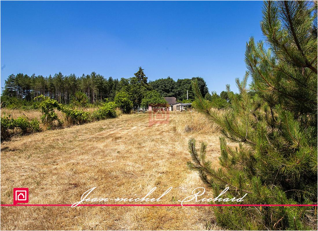 SOINGS-EN-SOLOGNE Maison Soings En Sologne 4 pièce(s) 107m2 3