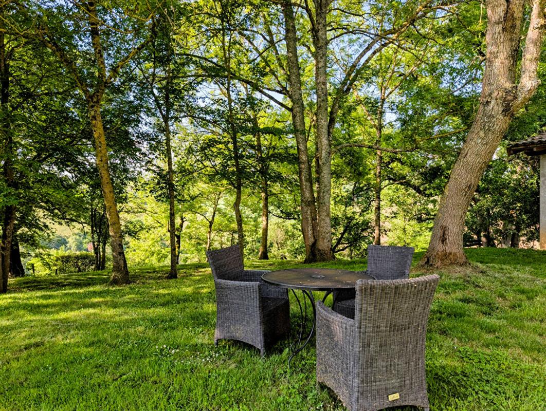 POUY-DE-TOUGES Maison du 18ème rénovée de 235 m2 avec dépendances sur terrain de 7468 m² 9